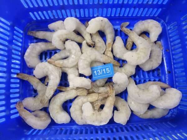 Prawn 13/15 PDTO