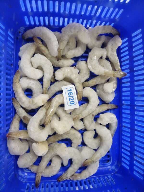 Prawn 16/20 PDTO