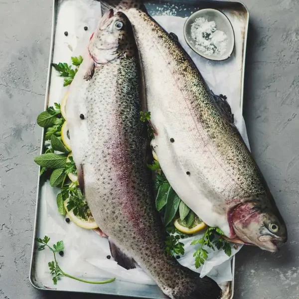 Himalayan Trout (whole, gutted)