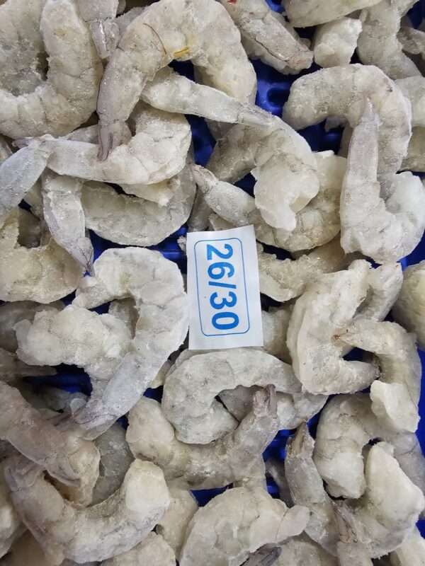 Prawn 26/30 PDTO