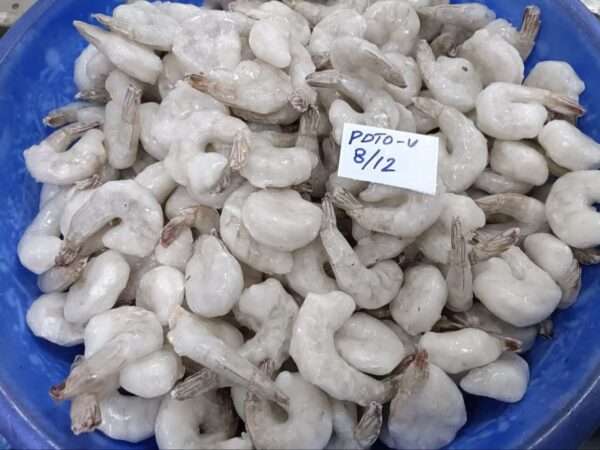 Prawn 8/12 PDTO