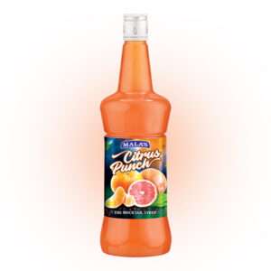 CITRUS PUNCH MOCKTAIL