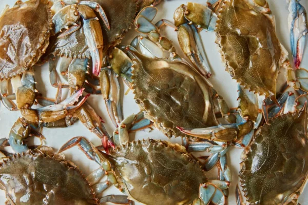 Soft Shell Crabs