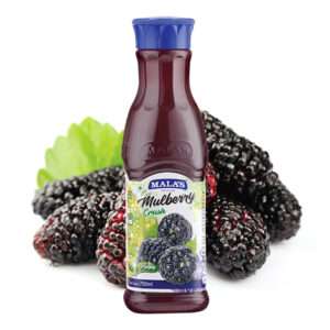MULBERRY CRUSH 750ML PET BOTTLE